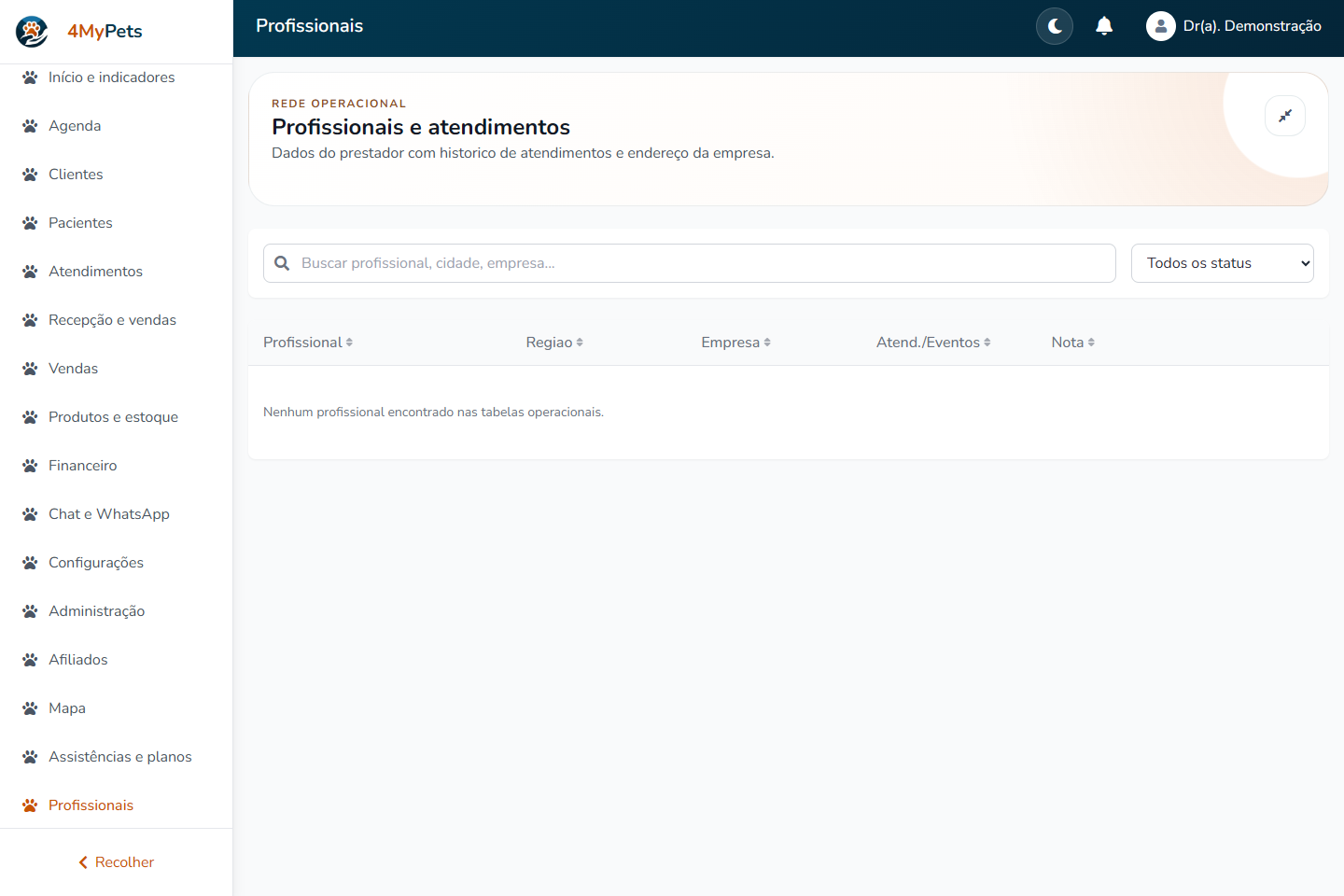 Consulte os profissionais — tela real com o menu correspondente selecionado